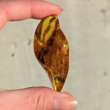 Indlæs billede til gallerivisning Rav