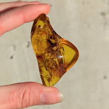 Indlæs billede til gallerivisning Rav