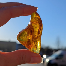 Indlæs billede til gallerivisning Rav