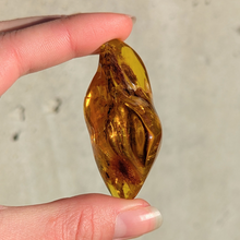 Indlæs billede til gallerivisning Rav