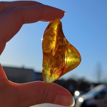 Indlæs billede til gallerivisning Rav