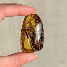 Indlæs billede til gallerivisning Rav