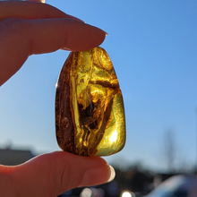 Indlæs billede til gallerivisning Rav