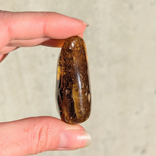 Indlæs billede til gallerivisning Rav