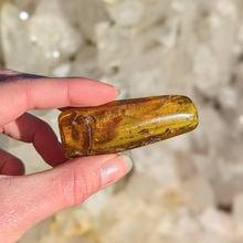 Load image into Gallery viewer, Rav