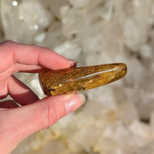 Load image into Gallery viewer, Rav