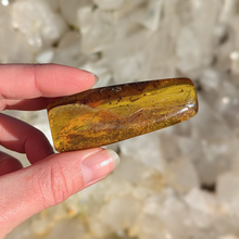 Load image into Gallery viewer, Rav