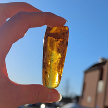 Load image into Gallery viewer, Rav