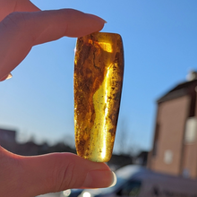 Load image into Gallery viewer, Rav