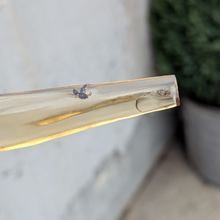 Indlæs billede til gallerivisning Rav med insekter