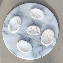 Load image into Gallery viewer, Scolecit nussesten