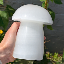 Load image into Gallery viewer, Selenit svamp