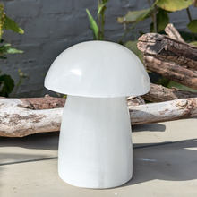 Load image into Gallery viewer, Selenit svamp