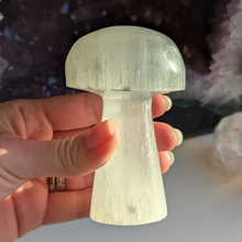 Indlæs billede til gallerivisning Selenit svamp