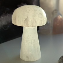 Indlæs billede til gallerivisning Selenit svamp