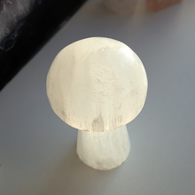 Indlæs billede til gallerivisning Selenit svamp