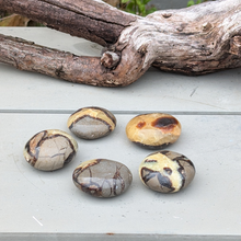 Indlæs billede til gallerivisning Septarie palmstones