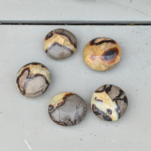 Indlæs billede til gallerivisning Septarie palmstones