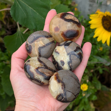 Indlæs billede til gallerivisning Septarie palmstones