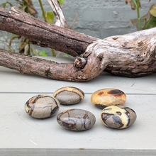 Indlæs billede til gallerivisning Septarie palmstones