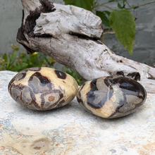 Indlæs billede til gallerivisning Septarie hjerter