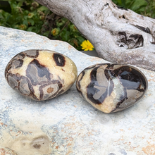 Indlæs billede til gallerivisning Septarie hjerter