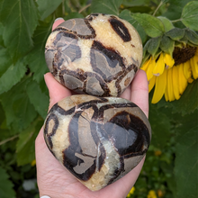 Indlæs billede til gallerivisning Septarie hjerter