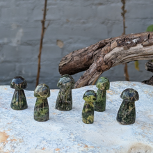 Load image into Gallery viewer, Serpentin svampe