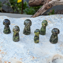 Load image into Gallery viewer, Serpentin svampe