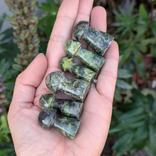 Load image into Gallery viewer, Serpentin svampe