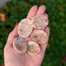 Load image into Gallery viewer, Solsten nussesten