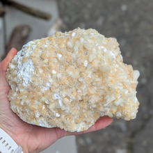 Load image into Gallery viewer, Stilbit