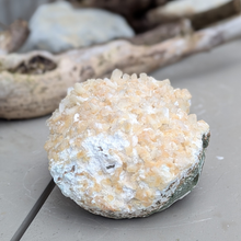 Load image into Gallery viewer, Stilbit