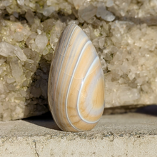 Indlæs billede til gallerivisning Jaspis freeform